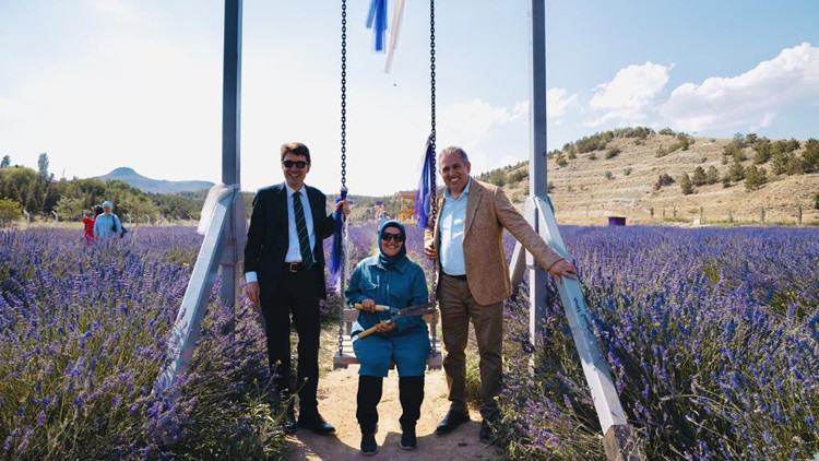 Lavanta diplomasisi Lavanta diplomasisi