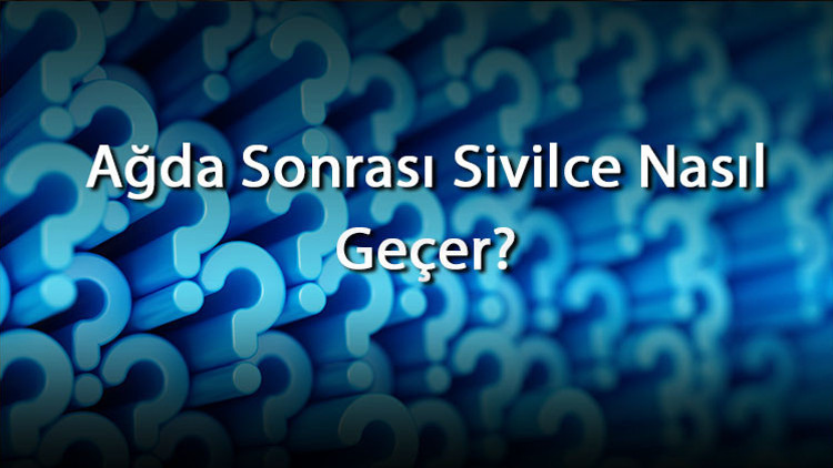 Ağda Sonrası Sivilce Nasıl Geçer Ağda Sonrası Oluşan Sivilcelere Ne İyi Gelir Ve Ne Yapılır