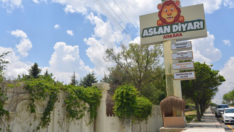 Aslan park kapanıyor Aslan park kapanıyor