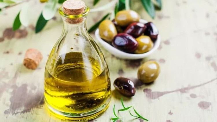 Zeytin ne zaman, hangi ay toplanır Yeşil, siyah, yağlık zeytin toplama tarihi