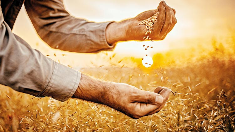 Gıdada tehlike çanları