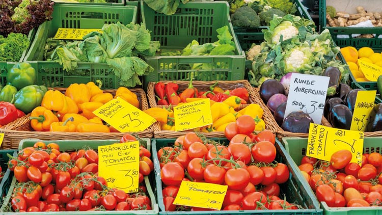 Avrupalı market açığı Antalya’dan kapatacak Avrupalı market açığı Antalya’dan kapatacak