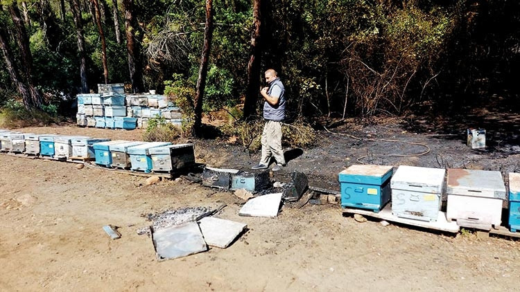 İlk ateş burada başladı... Marmaris yangını 19 saatte kontrol altına alındı İlk ateş burada başladı... Marmaris yangını 19 saatte kontrol altına alındı