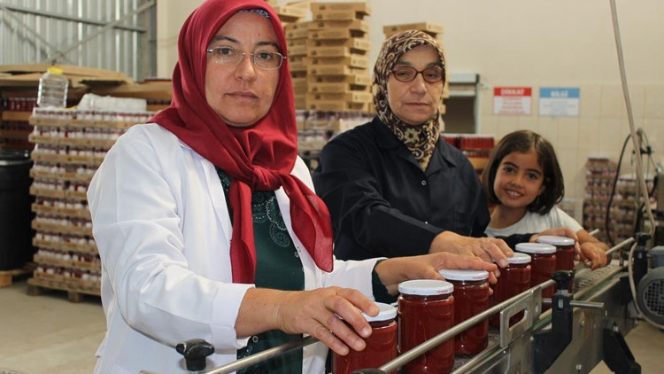Ayaş’ta üretim arttı, 250 tona göz kırptı