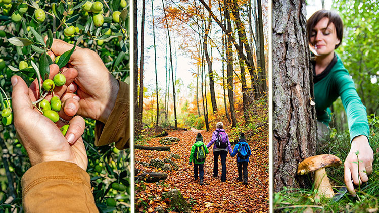 Şimdi yola çıkma vakti: Sonbaharın keyifli aktiviteleri | 12 ŞEHİR 15 ADRES