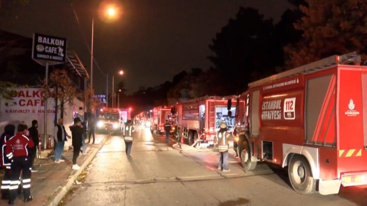 Aydos ormanında yangın