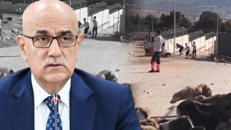 Bakan Kirişci: Barınaklar için ormanlardan yer verilecek