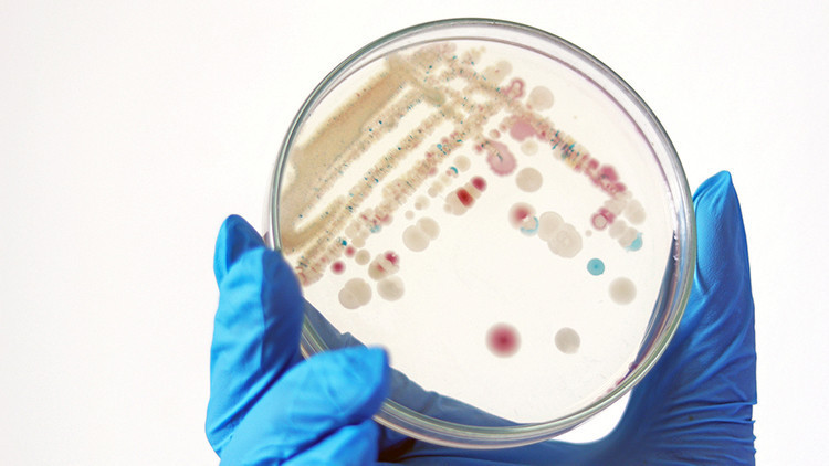 İngiltere’de Strep A bakterisinden 94 kişi hayatını kaybetti İngiltere’de Strep A bakterisinden 94 kişi hayatını kaybetti