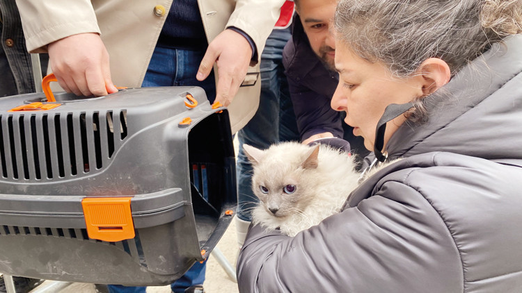 Şefkat sana çok yakışıyor Türkiye