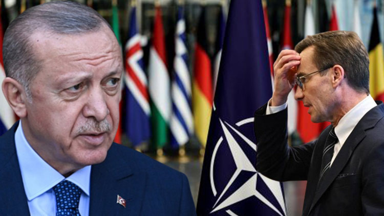 Erdoğanın sözleri dünyada manşet... İsveçin en büyük korkusu gerçek oldu