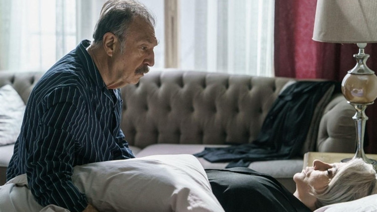 CAMDAKİ KIZ SON BÖLÜM İZLE | Camdaki Kız 77. son bölüme Gülcihan'ın ölümü  damga vurdu! Yeni bölüm fragmanında Laz Kızı sürprizi! - Haberler