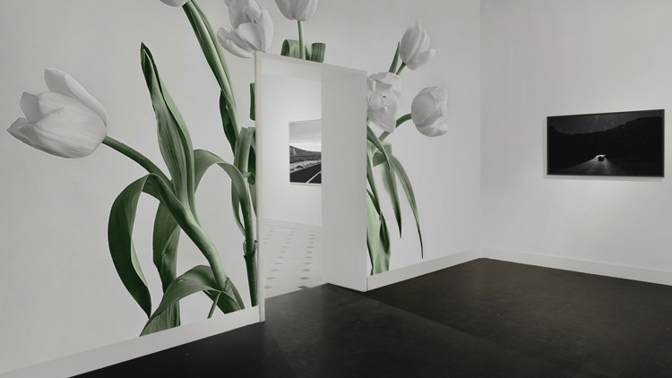 Vision Art’ta iki yeni kişisel sergi