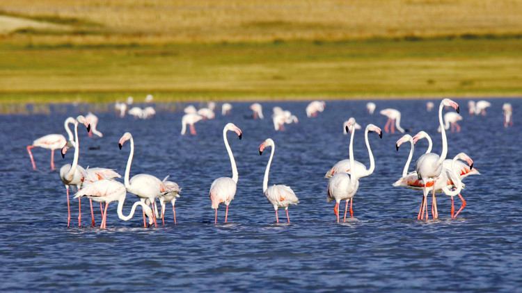 Tüm havzalarda ‘su ayak izi’ hesaplanacak