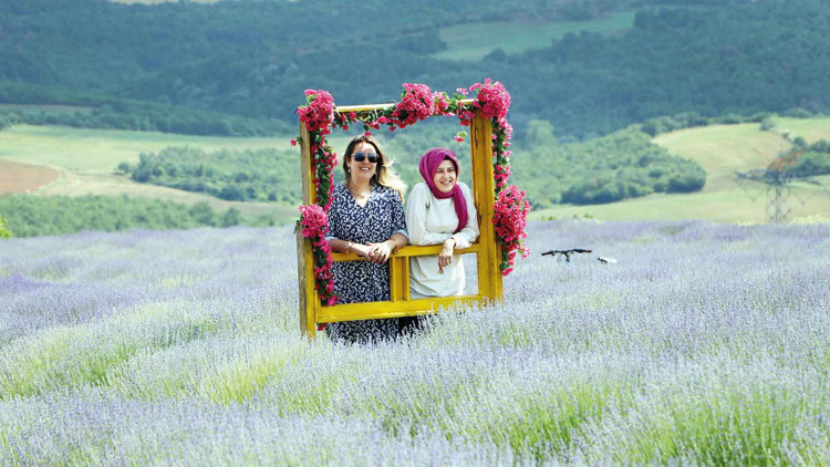 Mor salkımlı poz... Lavanta bahçeleri ziyarete açıldı