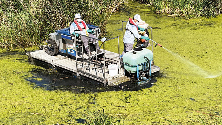 ‘Asya Kaplan’ fena ısırıyor ‘Asya Kaplan’ fena ısırıyor