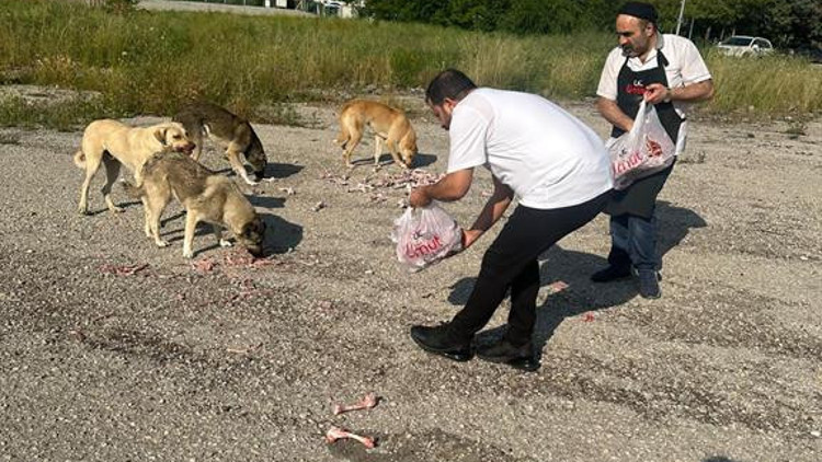 Yemek artıkları çöpe değil barınağa