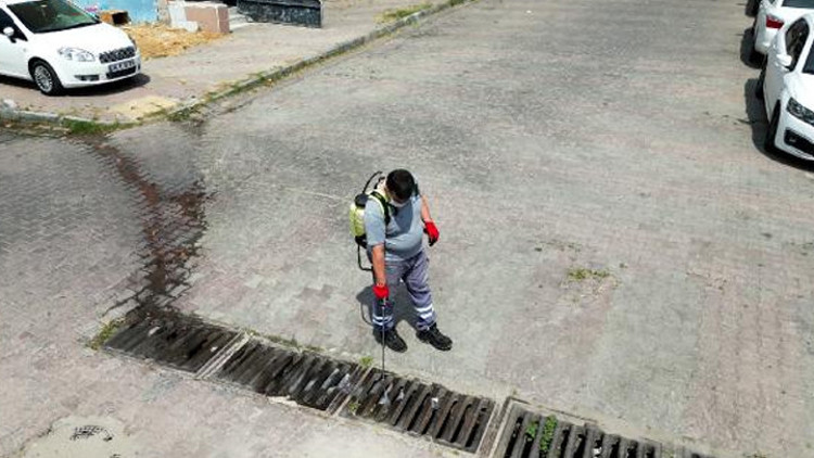 Dikkat çeken sivrisinek uyarısı: Ufacık bir saksıdaki su birikintisinden üreyecek sinekler bir mahalleye yeter