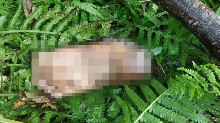 Ayak parçası bulundu anonsunu duyanlar kulaklarına inanamadı