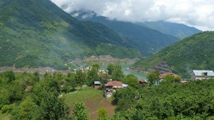 Derede bulunan gizemli ayak: Polis inceleme başlattı Derede bulunan gizemli ayak: Polis inceleme başlattı