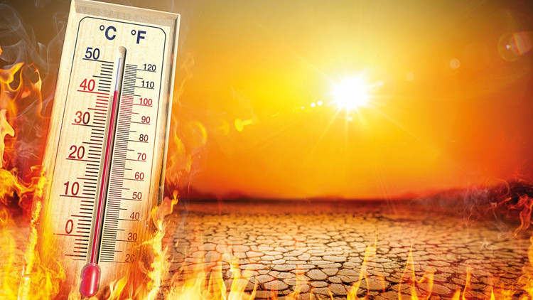 ‘Yeraltında şehirler kurulacak, yeni hastalıklar olacak’