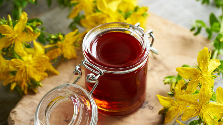 Kantaron yağı nasıl yapılır İşte evde kantaron yağı yapımı ve püf noktaları Kantaron yağı nasıl yapılır İşte evde kantaron yağı yapımı ve püf noktaları