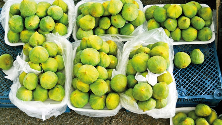 Peyniri, inciri, zeytinyağı...