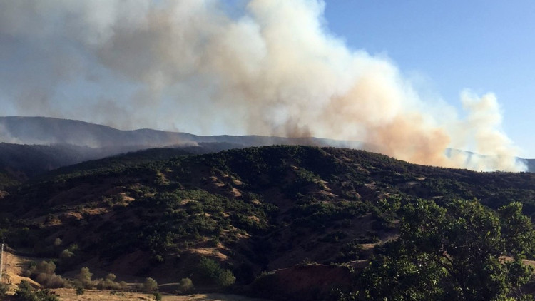 Bingöldeki orman yangını kontrol altında