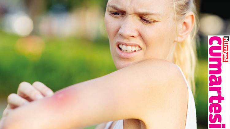 Yazın dertleriyle nasıl savaşırız