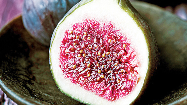 ‘İncirler olana kadar kalsaydın bari...’ ‘İncirler olana kadar kalsaydın bari...’