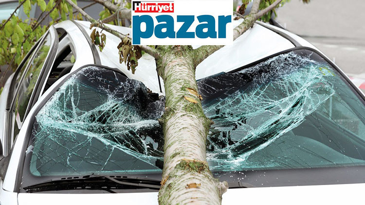 Küçük bir kasa alın, sigortanızı gözden geçirin...