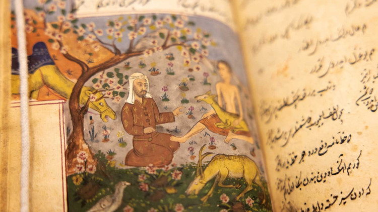 Yale’deki 153 yıllık hazine
