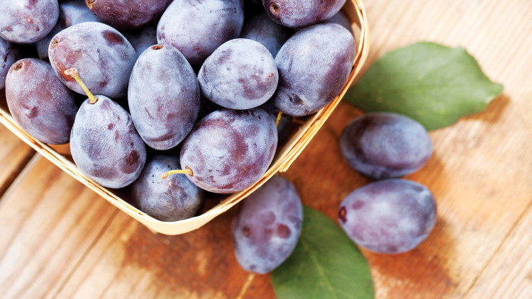 ‘İlk önce zerdali çiçek açar, mürdüm en sonra’