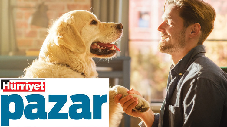 4 Ekim Dünya Hayvanları Koruma Günü... Köpeklerle kimyamız tutuyor