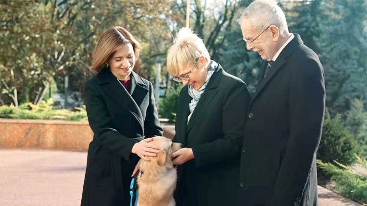 Codrut fena ısırdı Codrut fena ısırdı