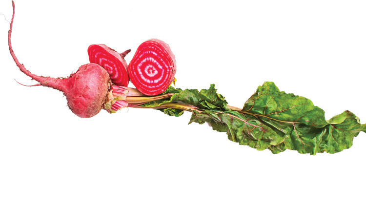 Asıl mesele doğa ananın bize anlattıklarında... Asıl mesele doğa ananın bize anlattıklarında...