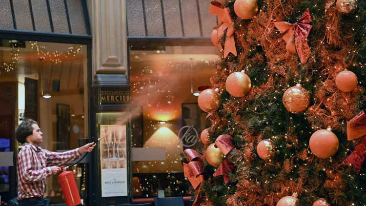 Noel ağaçlarını boyadılar Noel ağaçlarını boyadılar