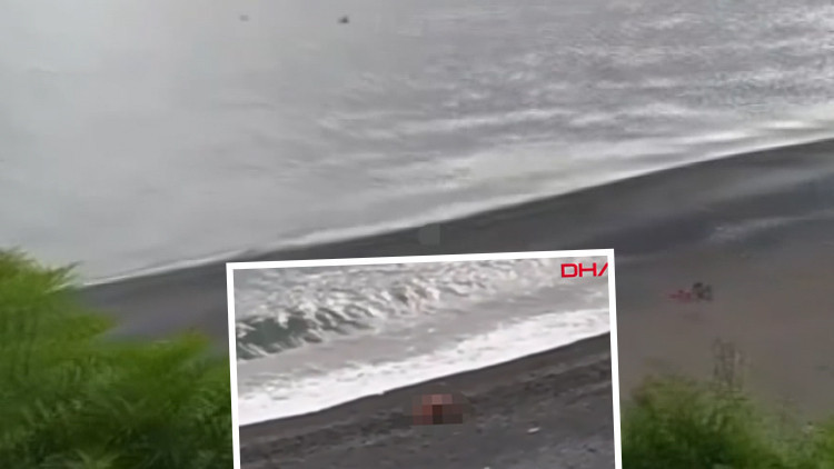 Sosyal medyada tepki yağmıştı Plajdaki cinsel ilişki görüntüsüne inceleme