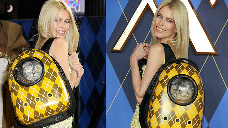 Herkes ünlü oyuncuları bırakıp onu izledi: Ünlü model kırmızı halıda kedisiyle şov yaptı