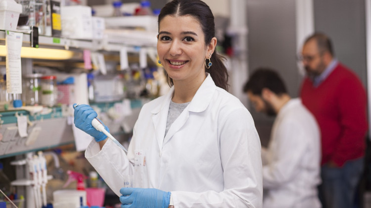 Kadınların yükseköğretime erişimi artıyor