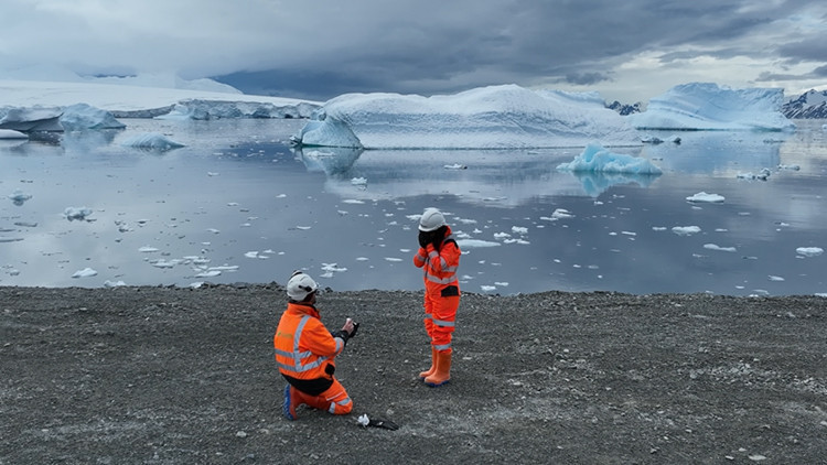Güney Kutbu’nda evlenme teklifi Yüzükleri penguenler taşıyacak... Güney Kutbu’nda evlenme teklifi Yüzükleri penguenler taşıyacak...