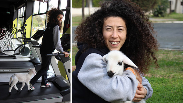 Beden eğitimi öğretmeni ile sahiplendiği kuzudan renkli görüntüler