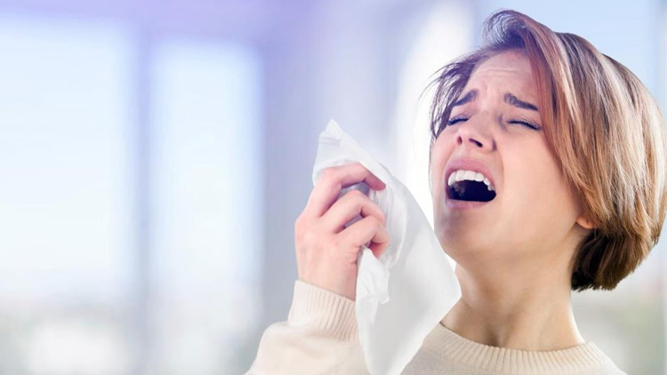 Bilim dünyasından “hapşırık” araştırması