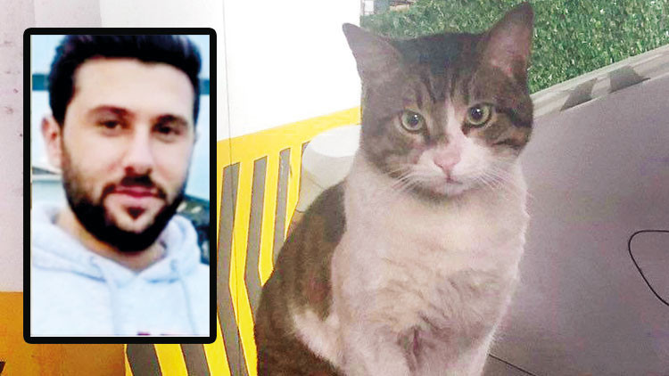 Erdoğan’dan kedi Eros telefonu: Bu nasıl olur Erdoğan’dan kedi Eros telefonu: Bu nasıl olur