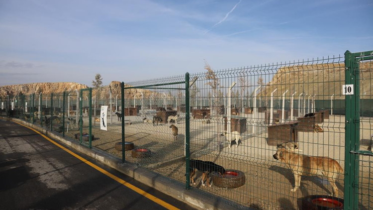 Bakanlıktan belediyelere büyük destek Bakanlıktan belediyelere büyük destek