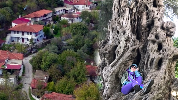 Hobisi işi oldu Ünlü oyuncu zeytinyağı satıyor...