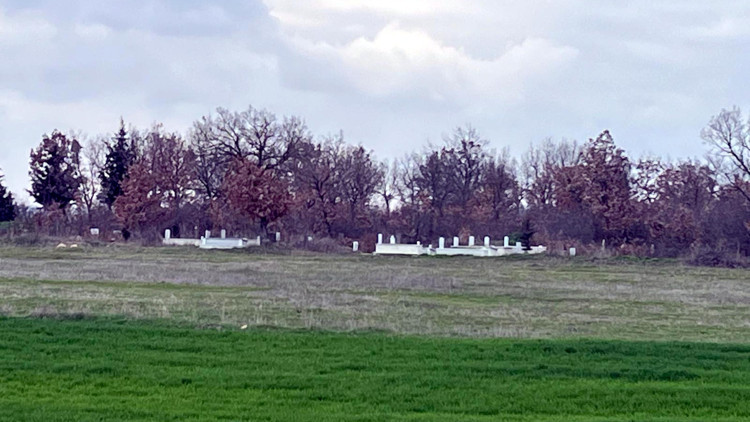 Emekli polis, oğlu ve eşini öldürüp tarlasına gömdü