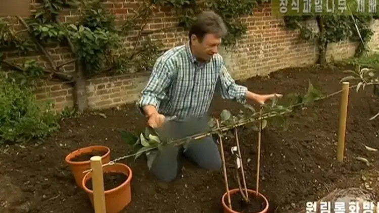 Kuzey Kore devlet televizyonundan kot pantolon sansürü