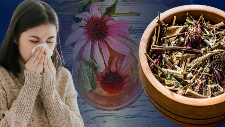 Kış bitti salgın bitmedi: Soğuk algınlığından hızla kurtulmanın 10 yolu... Mürver şurubu, ekinezya çayı ve daha fazlası...