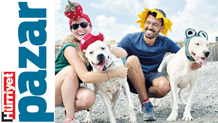 4 Nisan Dünya Sokak Hayvanları Günü: Sevgiyi ve ilgiyi hak ediyorlar 4 Nisan Dünya Sokak Hayvanları Günü: Sevgiyi ve ilgiyi hak ediyorlar