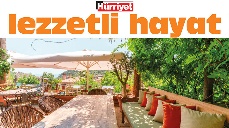 Gastronomi kazanında kaynayanlar
